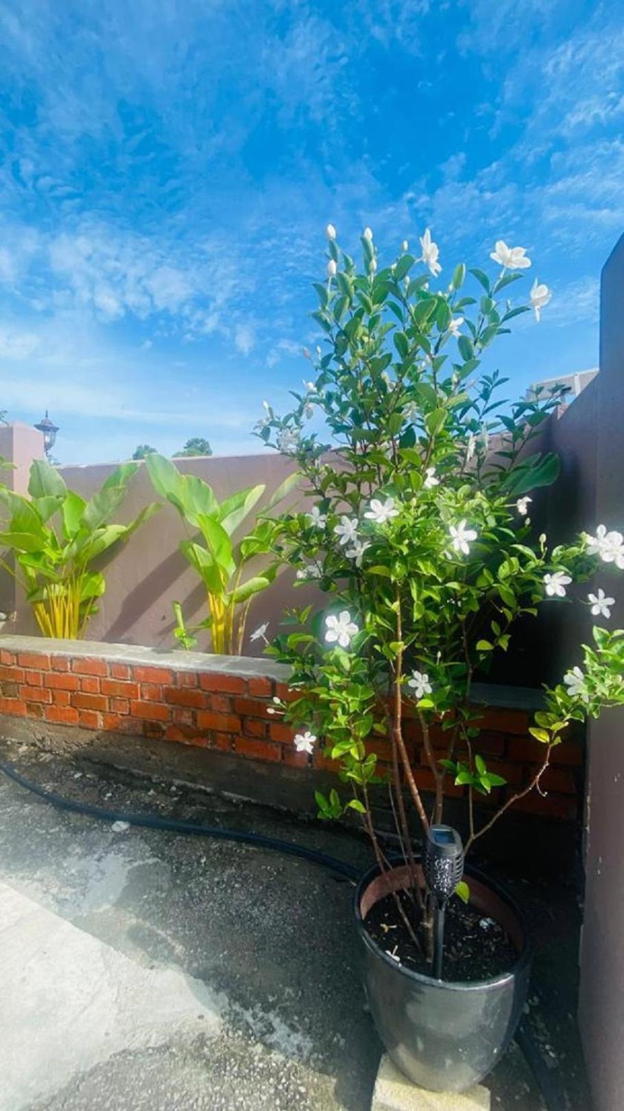 Motel Seri Mutiara Kuah Exterior photo