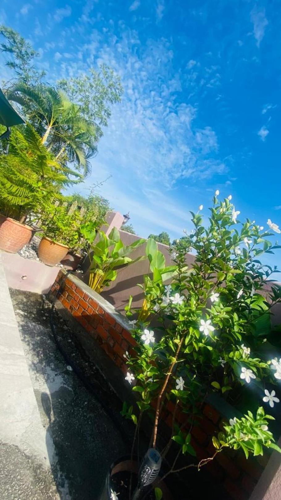 Motel Seri Mutiara Kuah Exterior photo